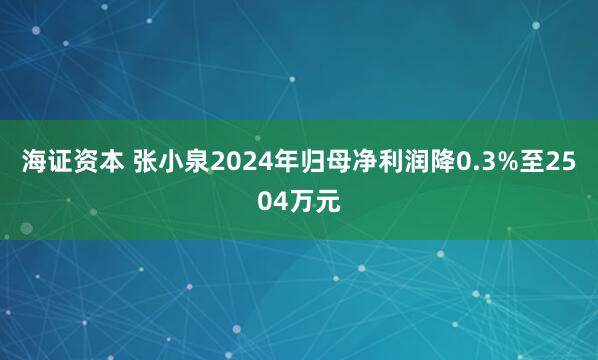 海证资本 张小泉2024年归母净利润降0.3%至2504万元