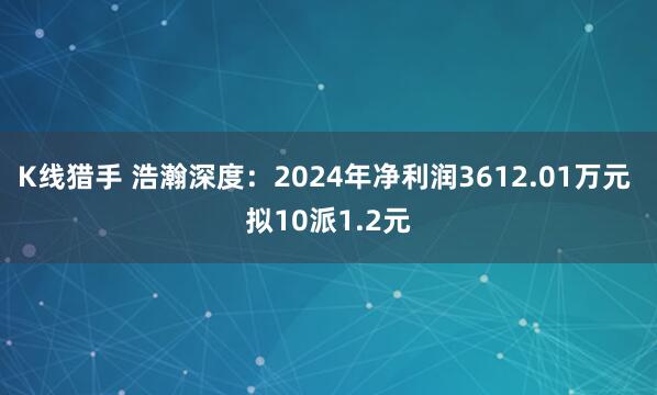 K线猎手 浩瀚深度：2024年净利润3612.01万元 拟10派1.2元