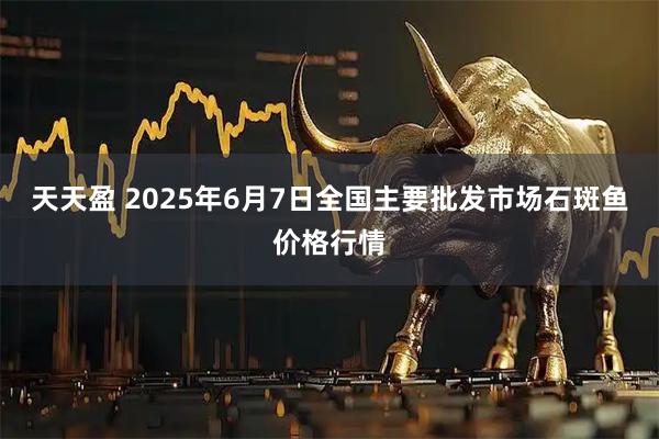 天天盈 2025年6月7日全国主要批发市场石斑鱼价格行情