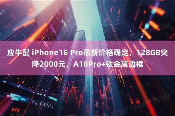 应牛配 iPhone16 Pro最新价格确定，128GB突降2000元，A18Pro+钛金属边框