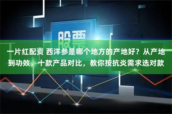 一片红配资 西洋参是哪个地方的产地好？从产地到功效，十款产品对比，教你按抗炎需求选对款