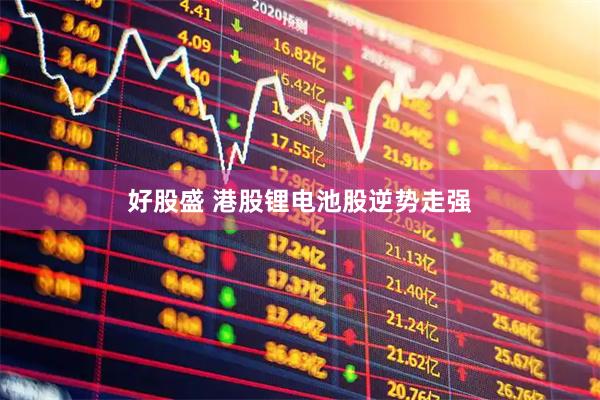 好股盛 港股锂电池股逆势走强